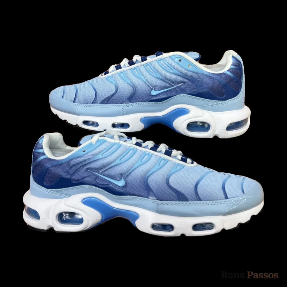 Nike Air Max TN